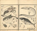 画本早満奈飛　三篇