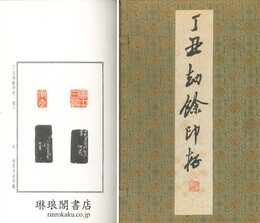 丁丑劫餘印存