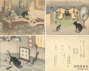 老鼠告状 第二版