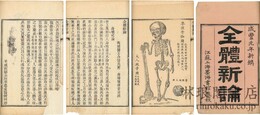 全体新論