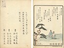 涛花集