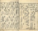 博物図教授法