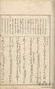 雨夜物語たみことば