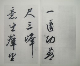 菘翁浣花帖