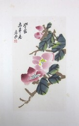 呉昌碩花卉冊