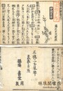 本草和解 七巻