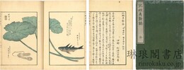 北蝦夷餘誌 一名咤?伊伽★呂津古紀行