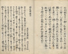 悟道辨講本