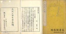 岳忠武王集