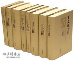 丁文江文集