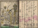 秋色艶麗 処女七種 七編
