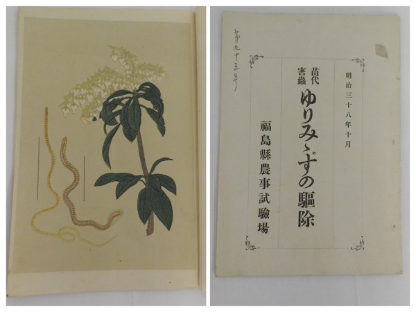 Amazon.co.jp: 地域自治会の研究: 部落会・町内会・自治会の展開