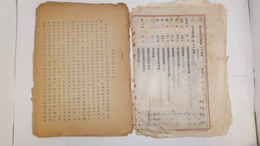 有沢廣巳氏業績概要・履歴書　