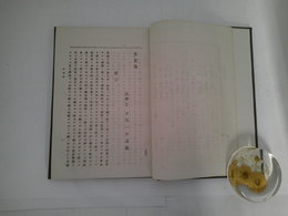 私犯法　