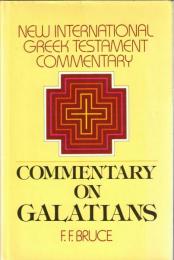 The Epistle to the Galatians : A Commentary on the Greek Text
