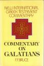 The Epistle to the Galatians : A Commentary on the Greek Text