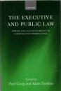 The Executive And Public Law: Power And Accountability in Comparative Perspective 