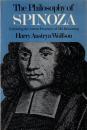 The Philosophy of Spinoza: Unfolding the Latent Process of His Reasoning