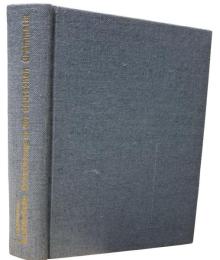 詳解ドイツ大文法