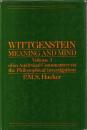 Wittgenstein : Meaning and Mind, Volume 3 of an Analytical Commentary on the Philosophical Investigations