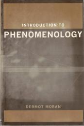 Introduction to Phenomenology