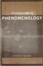 Introduction to Phenomenology