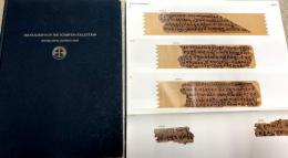 Buddhist Manuscripts in the Schoyen Collection I・II・III