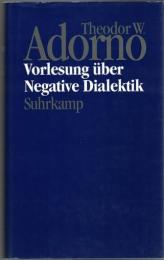 Vorlesung über Negative Dialektik : Fragmente zur Vorlesung 1965/66
