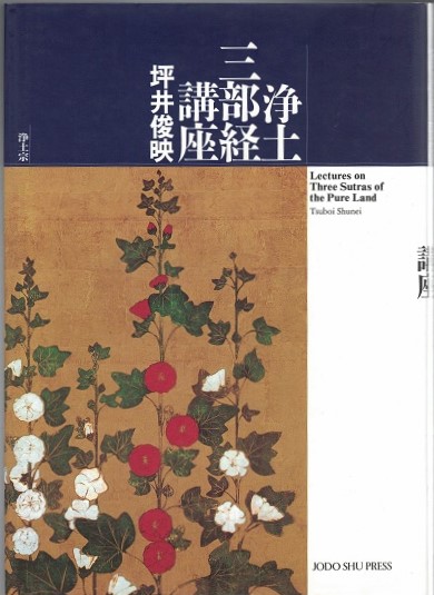 浄土三部経概説 [単行本] 坪井 俊映 浄土三部経概説 俊映, 坪井