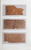 インド省図書館所蔵中央アジア出土大乗涅槃経梵文断簡集 : スタイン・ヘルンレ・コレクション