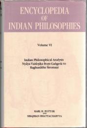 Encyclopedia of Indian Philosophies Vol.6 : Indian Philosophical Analysis