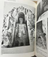 L'architecture et le décor rupestre des grottes de Bāmiyān - 1:Texte, 2 : Planches (2vols.)