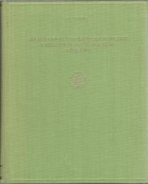 Archäologie und Kunstgeschichte chinesisch-zentralasiens (Xinjiang)