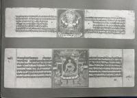 梵文法華経写本集成　本巻12冊　ローマ字本・索引２冊　全14冊揃