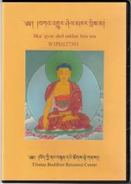 チベット大蔵経 シェルカル写本カンギュル bka' 'gyur (shel mkhar bris ma)