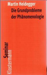 Die Grundprobleme Der Phanomenologie