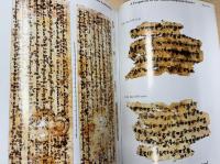 The British Library Sanskrit Fragments : Buddhist manuscripts from Central Asia