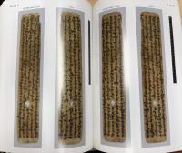 The St. Petersburg Sanskrit Fragments