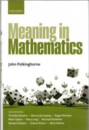 Meaning in Mathematics