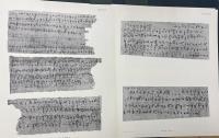 Saka Documents. Text Volume. Plates, Portfolio I-VI  (Corpus Inscriptionum Iranicarum. Part II. Inscriptions of the Seleucid and Parthian Period and of Eastern Iran and Central Asia. Vol. V. Saka)