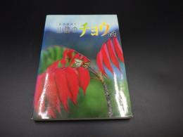 山陰のチョウたち