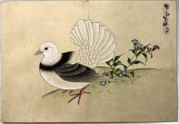 花鳥帖［江戸末期頃］