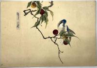 花鳥帖［江戸末期頃］