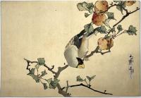 花鳥帖［江戸末期頃］