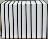 斎藤月岑日記（大日本古記録）