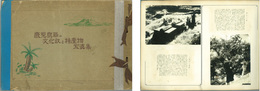 鹿児島県の文化財と特産物写真集 