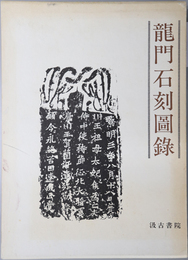 龍門石刻図録 ［原書名:伊闕石刻図表］