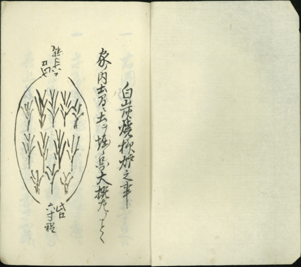 類証弁異全九集(曲直瀬 道三 | 柳田 征司 ) / 文生書院 / 古本