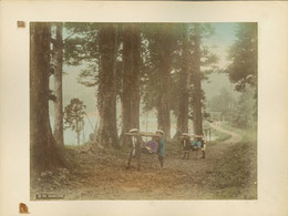 手彩色写真（鶏卵紙）  箱根：HAKONE