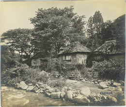 古写真（鶏卵紙）  宮城野：MIYAGINO